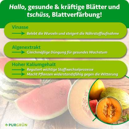 Vinasse belebt laut Infografik die Wurzeln und steigert die Nährstoffaufnahme, Algenextrakt fördert gesundes Wachstum und der hohe Kaliumgehalt unterstützt Stoffwechselprozesse und Widerstandsfähigkeit.