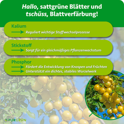Kalium reguliert wichtige Stoffwechselprozesse, Stickstoff sorgt für gleichmäßiges Pflanzenwachstum und Phosphor fördert Knospen, Früchte sowie ein dichtes, stabiles Wurzelwerk.