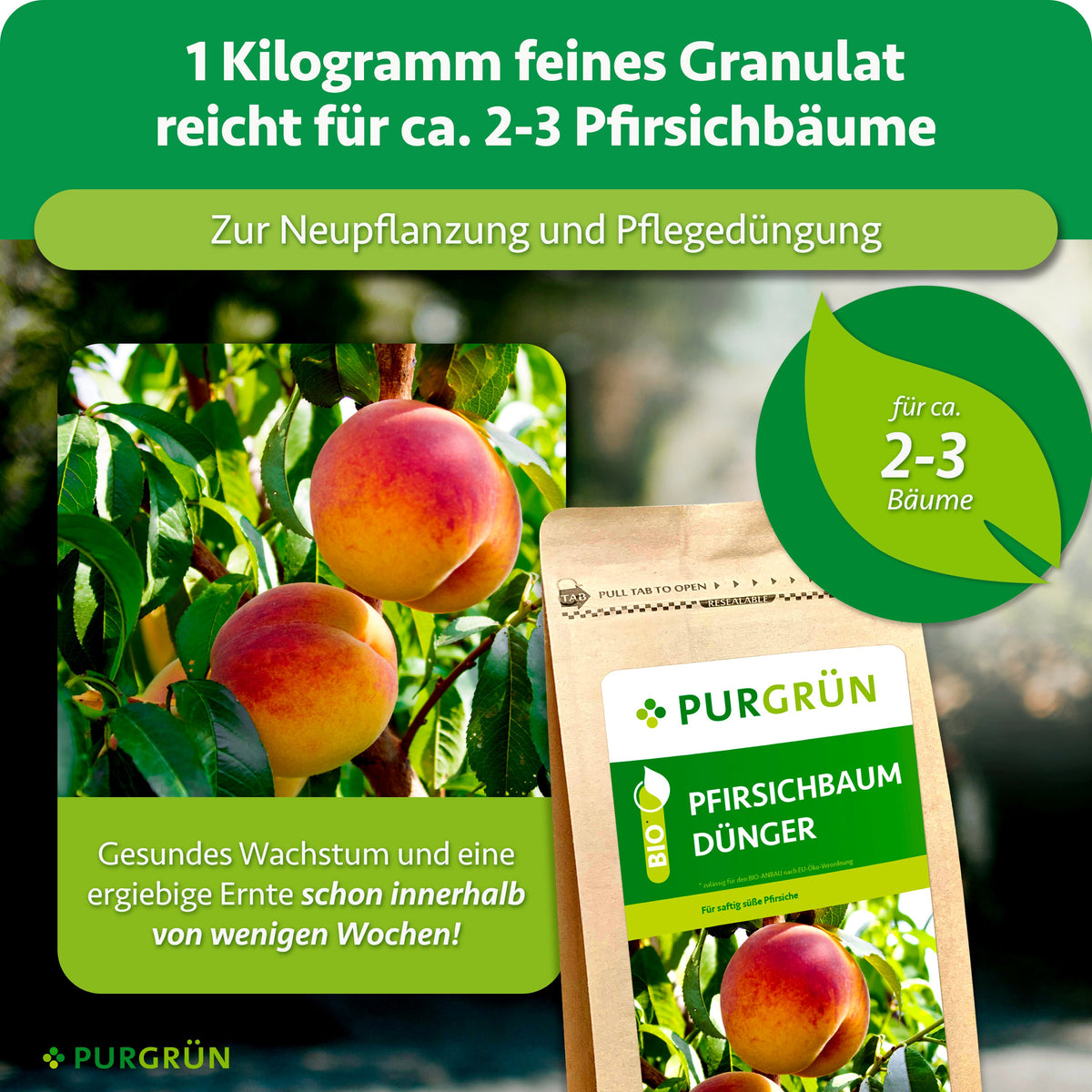 1 kg feines Granulat reicht für ca. 2–3 Pfirsichbäume und eignet sich zur Neupflanzung sowie Pflegedüngung.