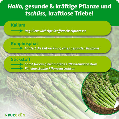 Kalium reguliert wichtige Stoffwechselprozesse, Rohphosphat fördert die Entwicklung eines gesunden Rhizoms und Stickstoff unterstützt gleichmäßiges Pflanzenwachstum sowie eine stabile Pflanzenstruktur.