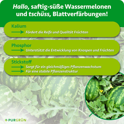 Nährstoffübersicht: Kalium fördert Reife und Fruchtqualität, Phosphor die Entwicklung von Knospen und Früchten; Stickstoff unterstützt gleichmäßiges Wachstum und eine stabile Pflanzenstruktur.
