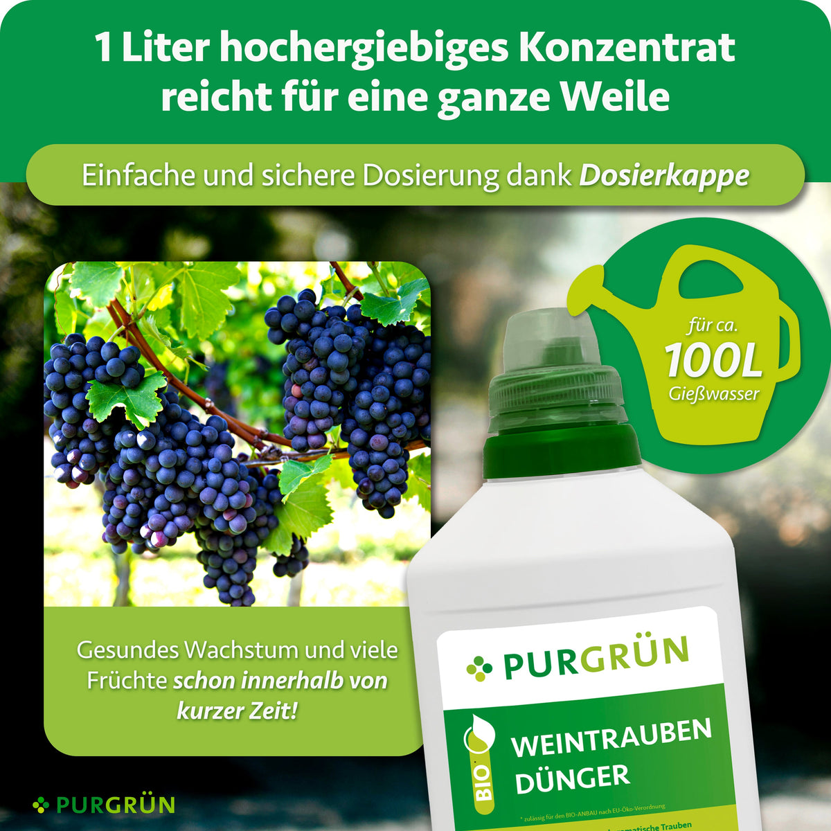 Ein Liter hochergiebiges Konzentrat lässt sich mit der Dosierkappe abmessen und reicht für ca. 100 Liter Gießwasser.