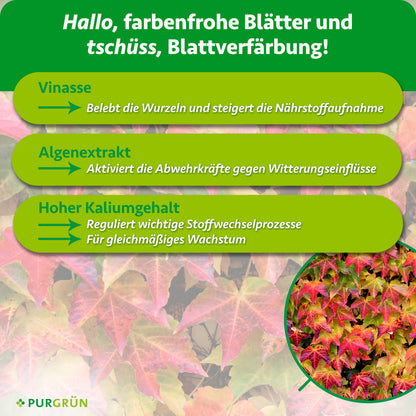 Vinasse belebt die Wurzeln und steigert die Nährstoffaufnahme, Algenextrakt aktiviert die Abwehrkräfte gegen Witterungseinflüsse. Hoher Kaliumgehalt reguliert wichtige Stoffwechselprozesse und unterstützt gleichmäßiges Wachstum.