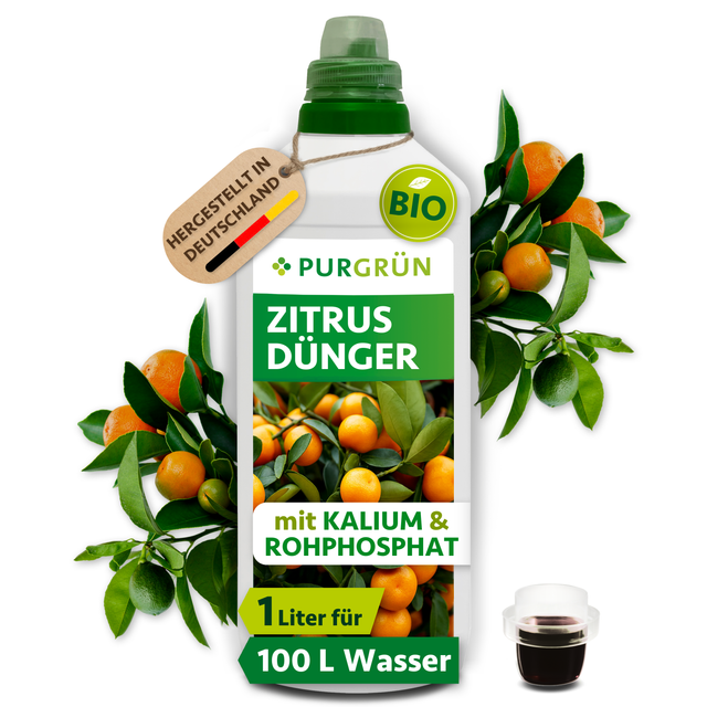Purgrün Bio-Zitrusdünger im 1-Liter-Gebinde mit Dosierkappe, umrahmt von Zitruszweigen und Früchten.