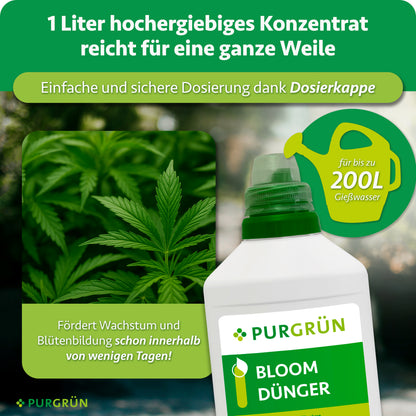 Eine Flasche Purgrün Bloom-Dünger 1 Liter neben einem Foto grüner Blätter und einem Gießkannen-Symbol. Text: 1 Liter hochergiebiges Konzentrat reicht für bis zu 200 Liter Gießwasser, einfache und sichere Dosierung dank Dosierkappe; fördert Wachstum und Blütenbildung schon innerhalb von wenigen Tagen.