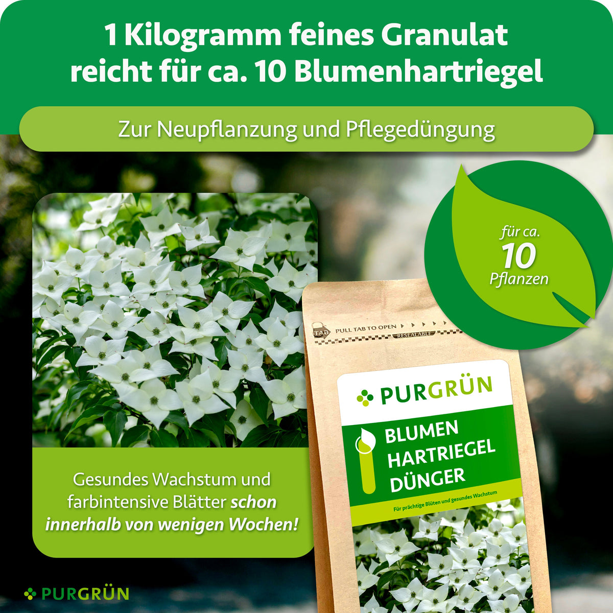 1 kg feines Granulat reicht für ca. 10 Blumenhartriegel zur Neupflanzung und Pflegedüngung.