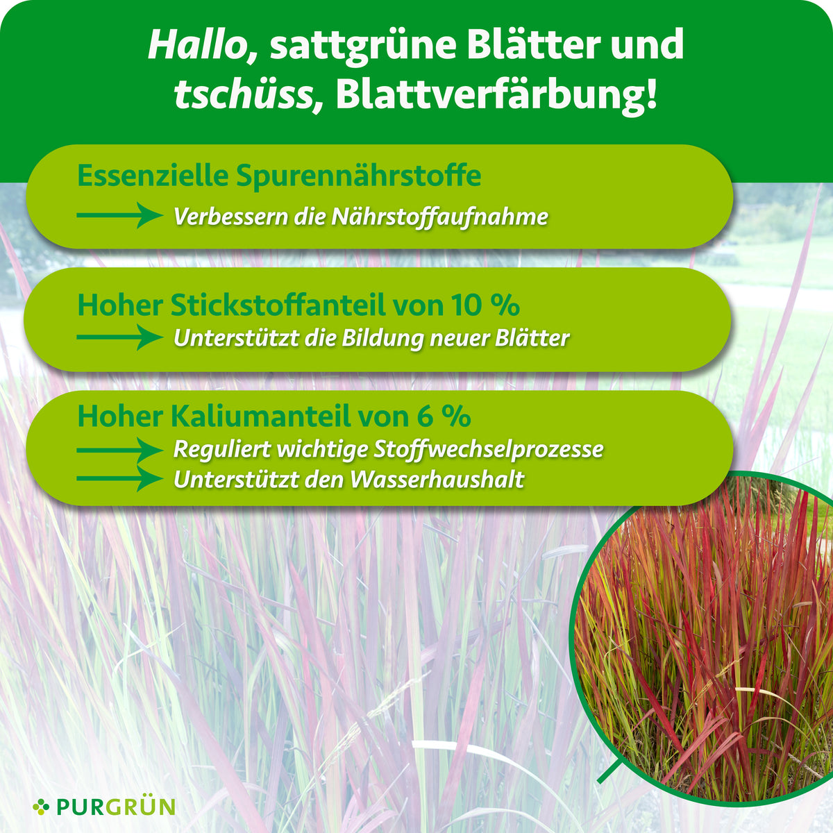 Essenzielle Spurennährstoffe verbessern die Nährstoffaufnahme; 10 % Stickstoff unterstützen die Bildung neuer Blätter, 6 % Kalium regulieren Stoffwechselprozesse und den Wasserhaushalt.