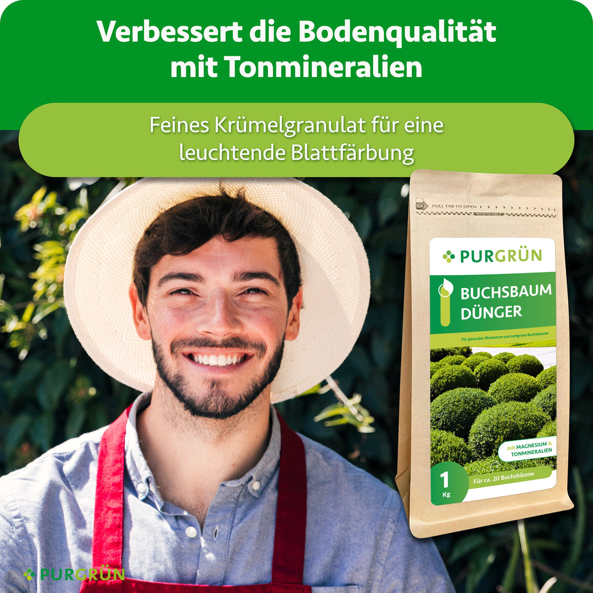 Ein Gärtner hält den Purgrün Buchsbaumdünger; Tonmineralien verbessern laut Infografik die Bodenqualität, feines Krümelgranulat unterstützt eine leuchtende Blattfärbung.