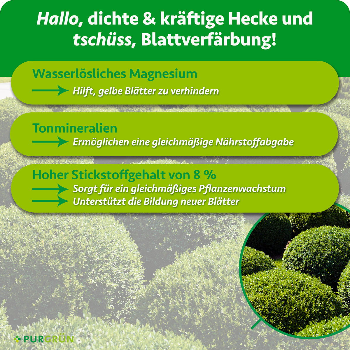 Wasserlösliches Magnesium hilft, gelbe Blätter zu verhindern, Tonmineralien ermöglichen eine gleichmäßige Nährstoffabgabe. 8 % Stickstoff fördern gleichmäßiges Wachstum und die Bildung neuer Blätter.