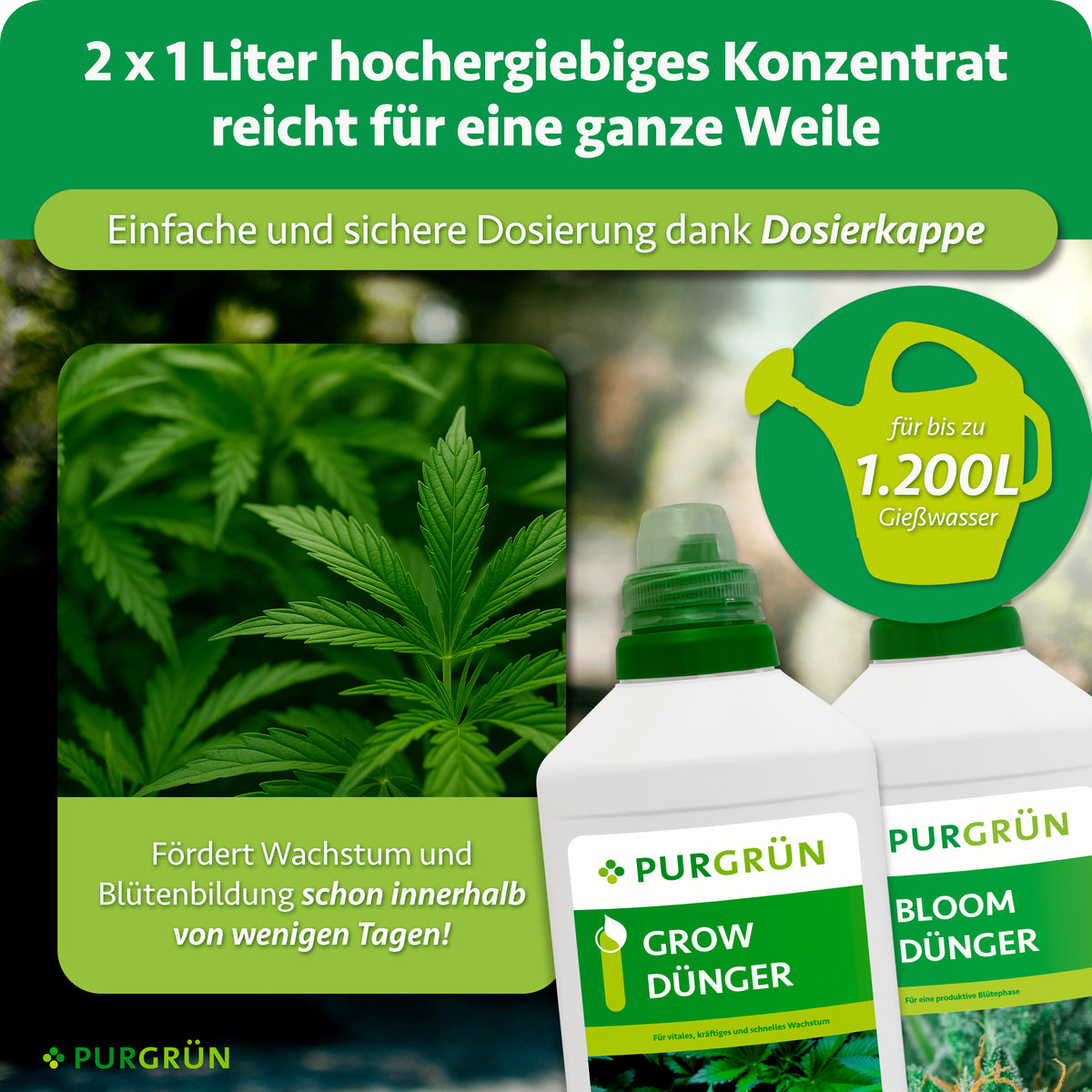 Je eine Flasche Purgrün Grow-Dünger und Bloom-Dünger 1 Liter neben einem Foto grüner Blätter und einem Gießkannen-Symbol. Text: 2 x 1 Liter hochergiebiges Konzentrat reicht für bis zu 1.200 Liter Gießwasser, einfache und sichere Dosierung dank Dosierkappe; fördert Wachstum und Blütenbildung schon innerhalb von wenigen Tagen.
