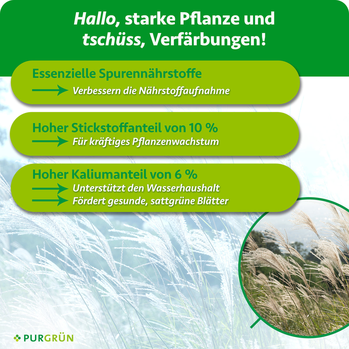 Essenzielle Spurennährstoffe verbessern die Nährstoffaufnahme; 10 % Stickstoff fördern kräftiges Pflanzenwachstum. 6 % Kalium unterstützen den Wasserhaushalt und fördern gesunde, sattgrüne Blätter.