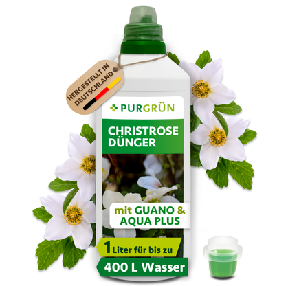 Purgrün Christrose-Dünger, 1 Liter, in weißer Flasche mit Dosierkappe; für bis zu 400 Liter Gießwasser.
