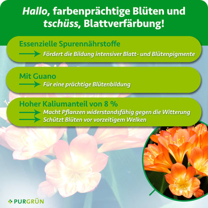 Essenzielle Spurennährstoffe fördern intensive Blatt- und Blütenpigmente. Mit Guano für eine prächtige Blütenbildung. 8 % Kalium sollen vor Witterungseinflüssen und vorzeitigem Welken schützen.