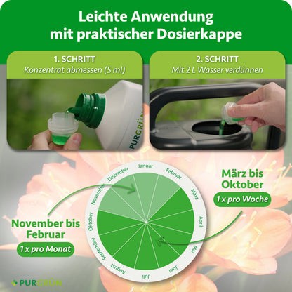 Anwendung: 5 ml Konzentrat abmessen und mit 2 L Wasser verdünnen. Von März bis Oktober einmal pro Woche, von November bis Februar einmal pro Monat düngen.