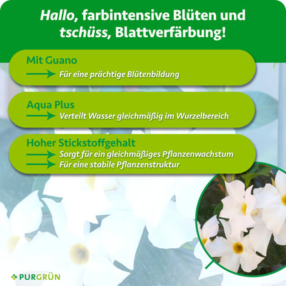 Mit Guano für eine prächtige Blütenbildung. Aqua Plus verteilt Wasser gleichmäßig im Wurzelbereich; hoher Stickstoffgehalt fördert gleichmäßiges Wachstum und eine stabile Pflanzenstruktur.