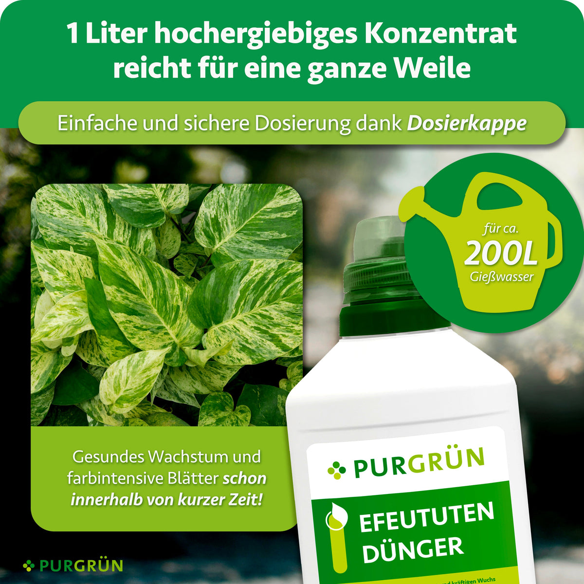 Ein Liter hochergiebiges Efeututen-Dünger-Konzentrat reicht für ca. 200 Liter Gießwasser und lässt sich mit der Dosierkappe einfach dosieren.