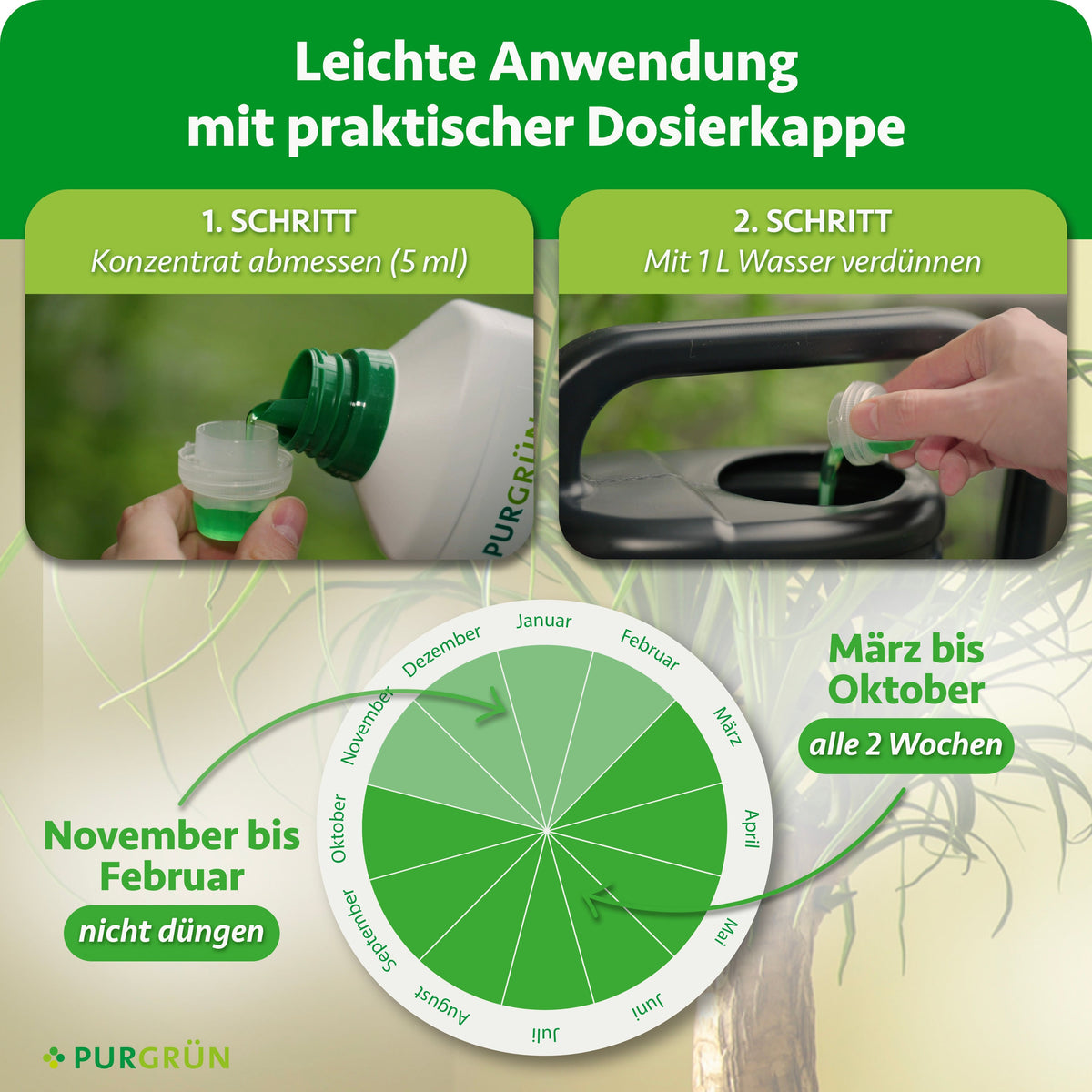 Anwendung: 5 ml Konzentrat abmessen und mit 1 Liter Wasser verdünnen. Von März bis Oktober alle 2 Wochen düngen, von November bis Februar nicht düngen.