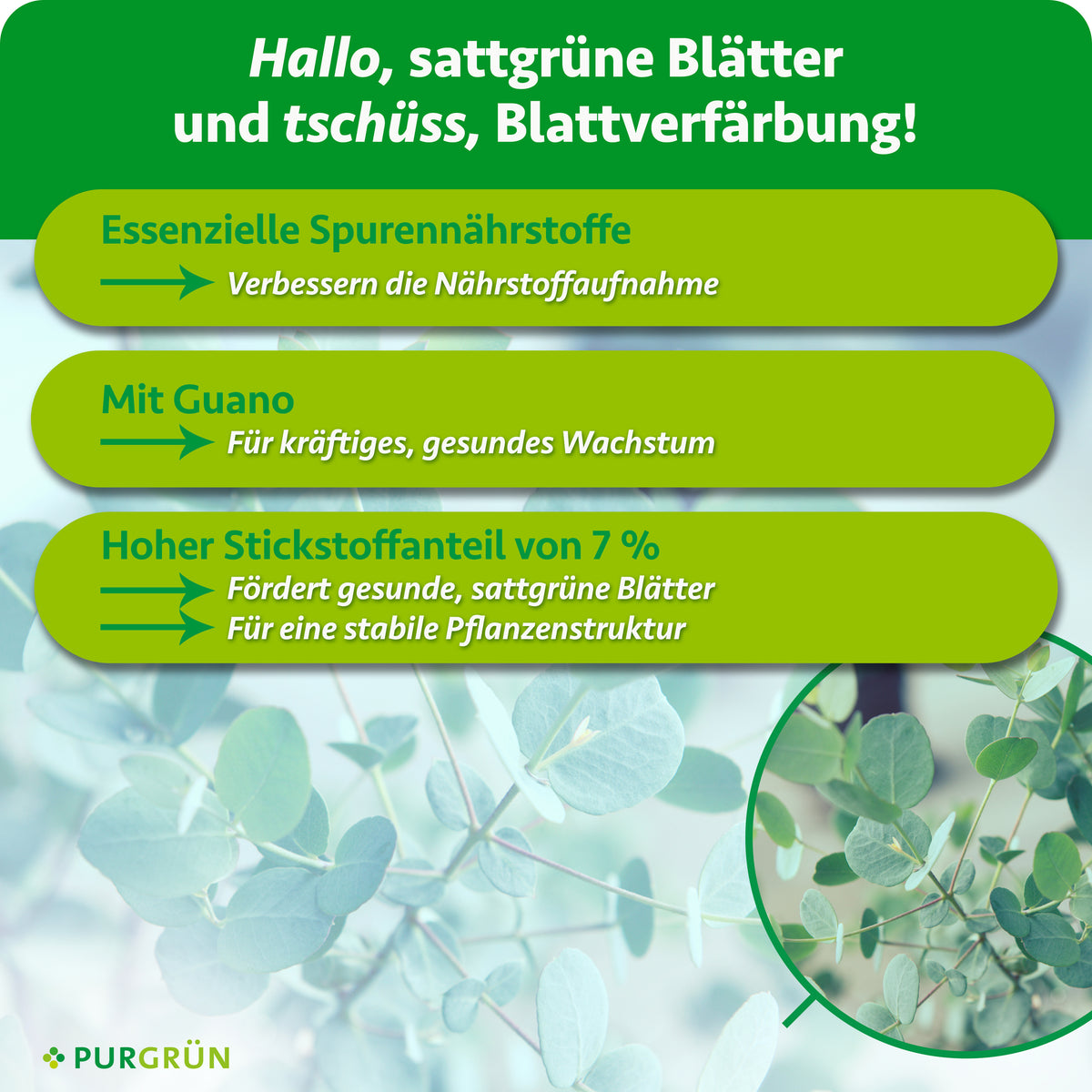 Essenzielle Spurennährstoffe verbessern die Nährstoffaufnahme und 7 % Stickstoff fördern sattgrüne Blätter sowie eine stabile Pflanzenstruktur. Mit Guano für kräftiges, gesundes Wachstum.