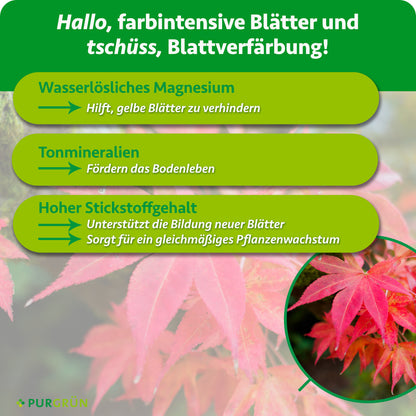 Wasserlösliches Magnesium hilft, gelbe Blätter zu verhindern, Tonmineralien fördern das Bodenleben und Stickstoff unterstützt neue Blätter sowie gleichmäßiges Wachstum.
