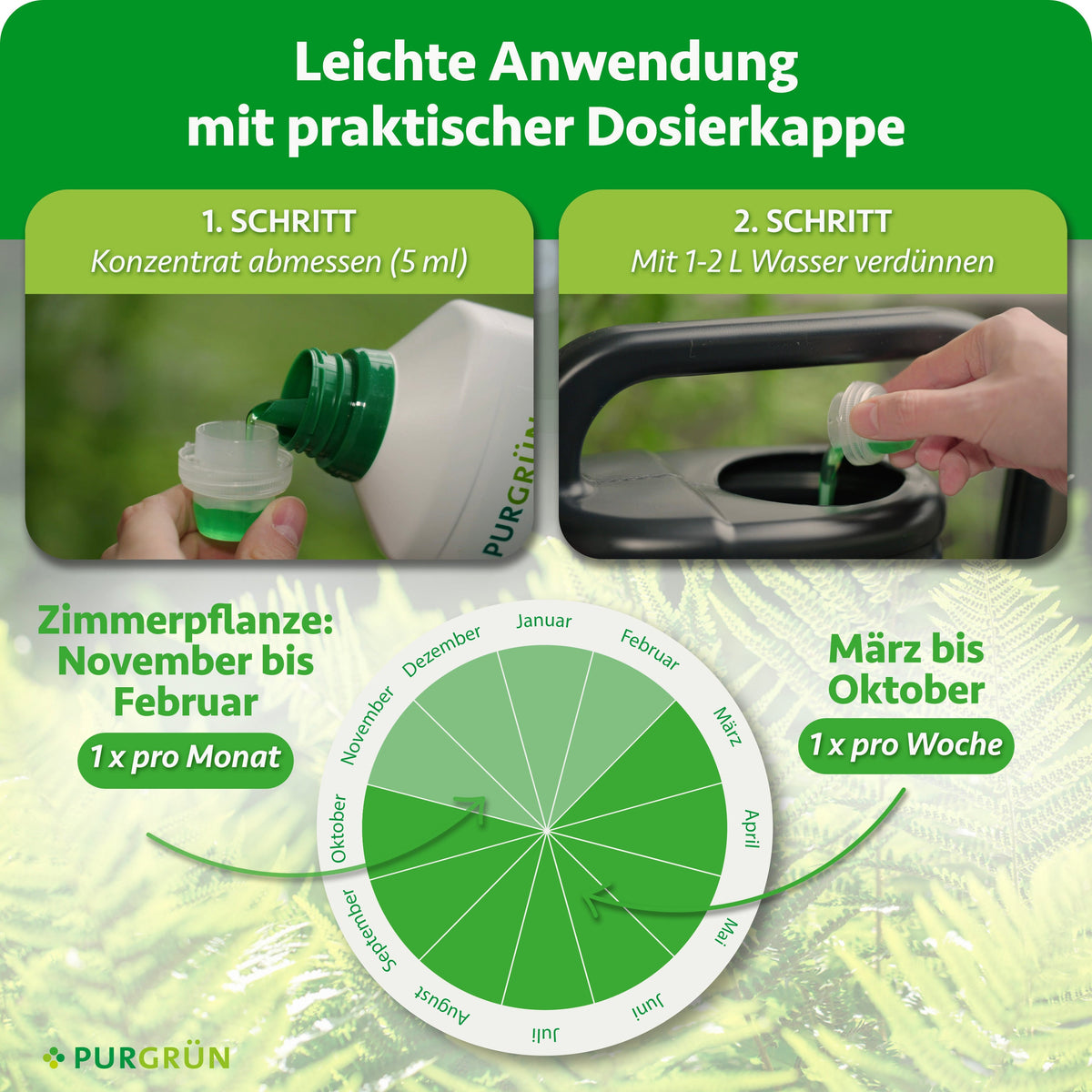 Anwendung: 5 ml Konzentrat abmessen und mit 1–2 Litern Wasser verdünnen. Zimmerpflanzen von November bis Februar einmal monatlich, von März bis Oktober einmal wöchentlich düngen.