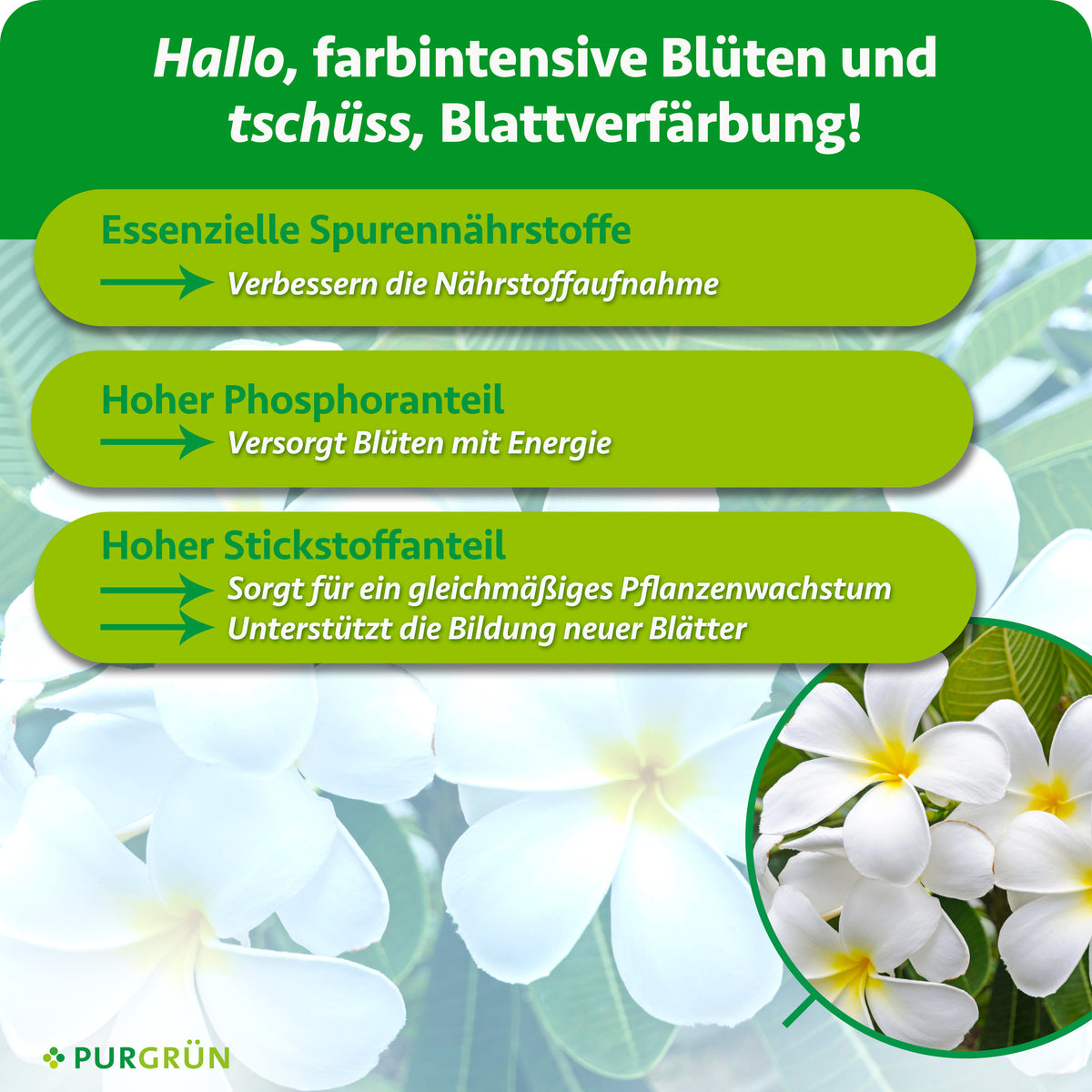 Essenzielle Spurennährstoffe verbessern die Nährstoffaufnahme; hoher Phosphoranteil versorgt Blüten mit Energie, hoher Stickstoffanteil unterstützt gleichmäßiges Wachstum und neue Blätter.