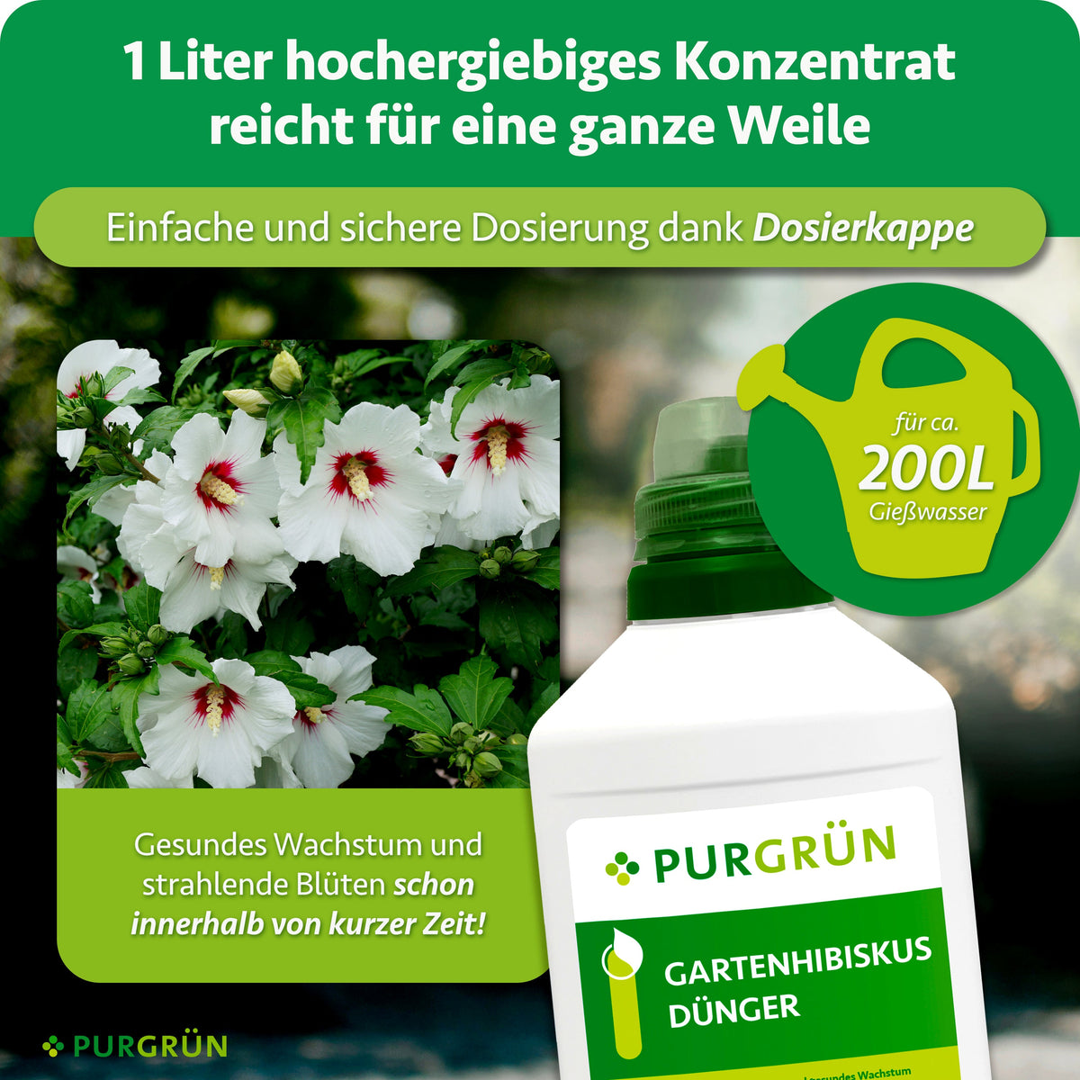 1 Liter hochergiebiges Konzentrat mit Dosierkappe reicht für ca. 200 Liter Gießwasser und unterstützt gesundes Wachstum sowie strahlende Blüten.