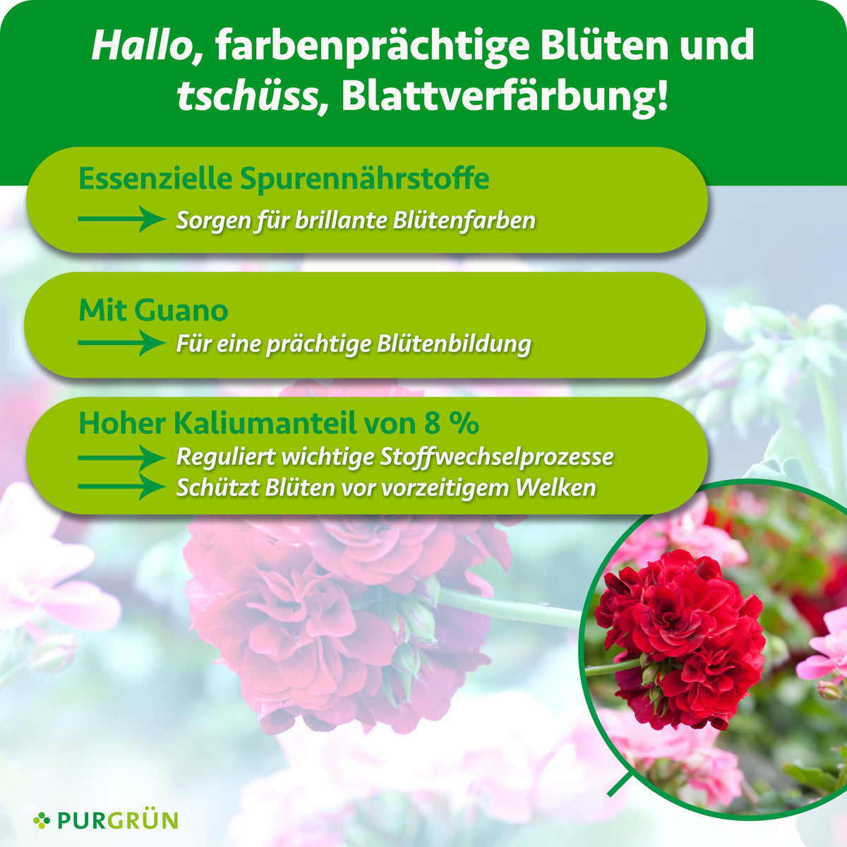 Essenzielle Spurennährstoffe sorgen für brillante Blütenfarben. Mit Guano für eine prächtige Blütenbildung. 8 % Kalium regulieren wichtige Stoffwechselprozesse und schützen Blüten vor vorzeitigem Welken.