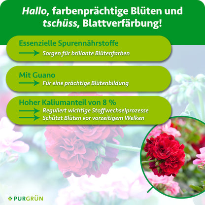 Essenzielle Spurennährstoffe sorgen für brillante Blütenfarben. Mit Guano für eine prächtige Blütenbildung. 8 % Kalium regulieren wichtige Stoffwechselprozesse und schützen Blüten vor vorzeitigem Welken.