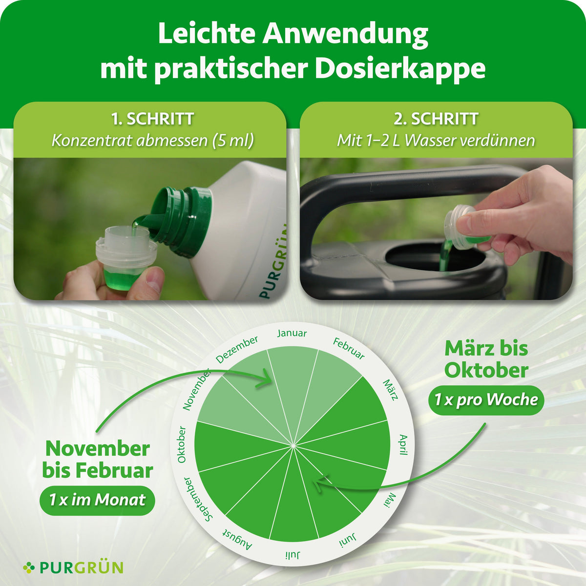 5 ml Konzentrat mit 1–2 L Wasser verdünnen; von März bis Oktober 1× pro Woche, von November bis Februar 1× im Monat anwenden.