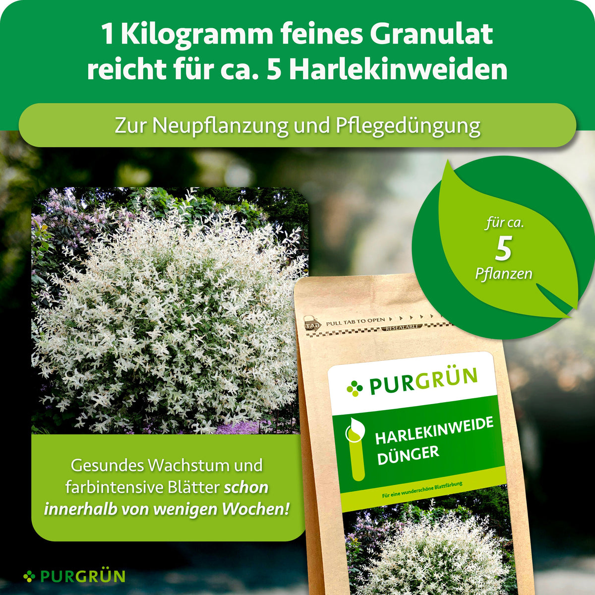 1 kg feines Granulat reicht zur Neu- und Pflegepflanzung für ca. 5 Harlekinweiden und fördert gesundes Wachstum sowie farbintensive Blätter innerhalb weniger Wochen.