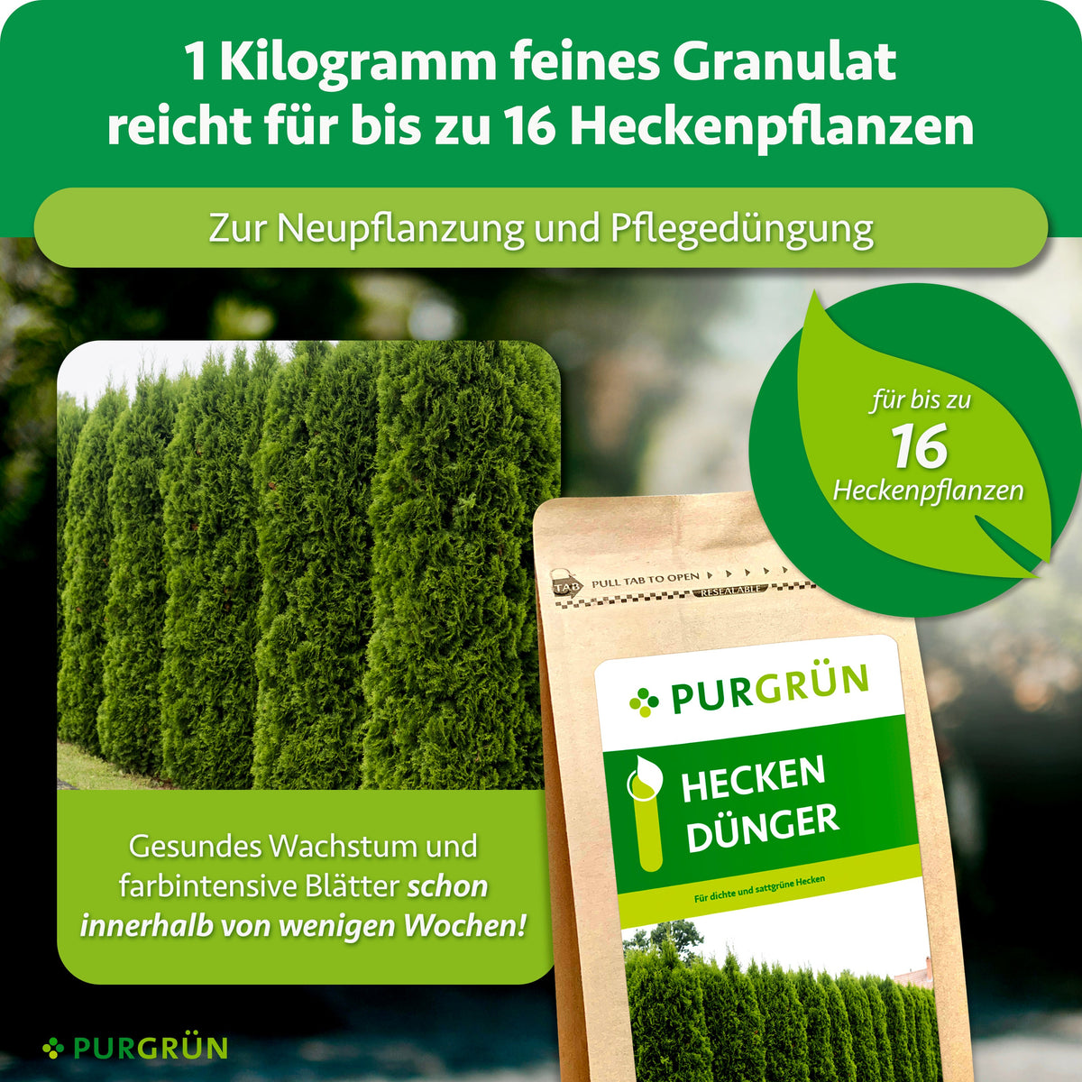 1 kg feines Granulat reicht bei Neu- und Pflegepflanzungen für bis zu 16 Heckenpflanzen und fördert farbintensive Blätter innerhalb weniger Wochen.