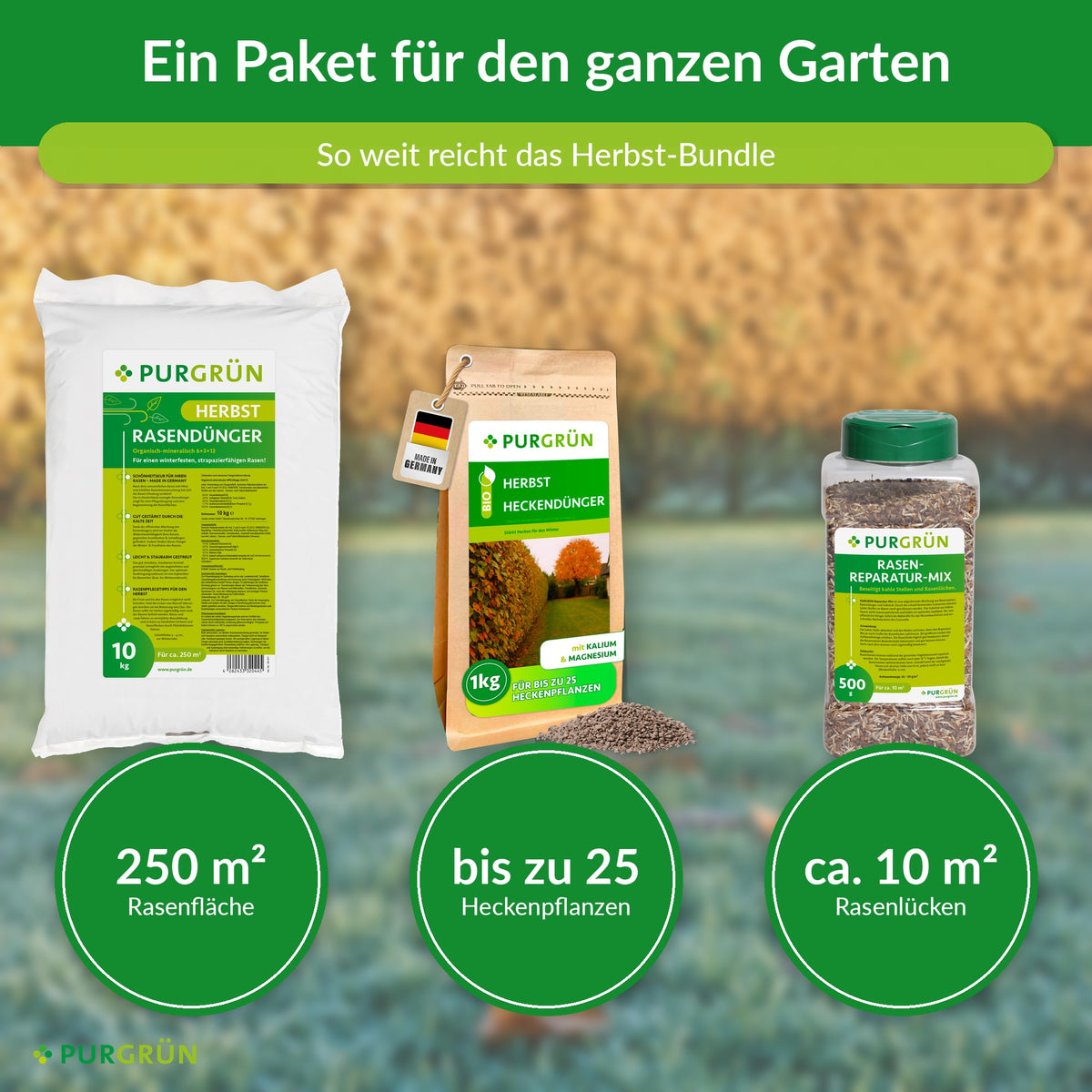 Herbst-Bundle Reichweite: 250 m² Rasen, bis zu 25 Heckenpflanzen, ca. 10 m² Rasenlücken