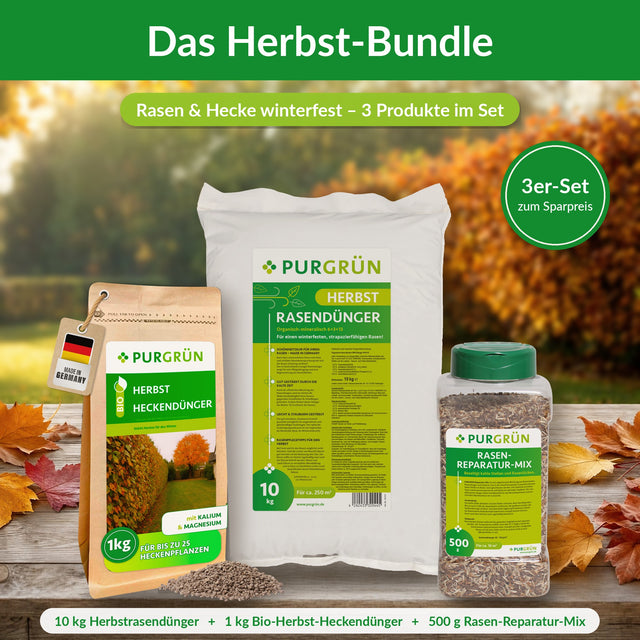 Herbst-Bundle von Purgrün: Herbstrasendünger 10 kg, Bio-Herbst-Heckendünger 1 kg und Rasen-Reparatur-Mix 500 g