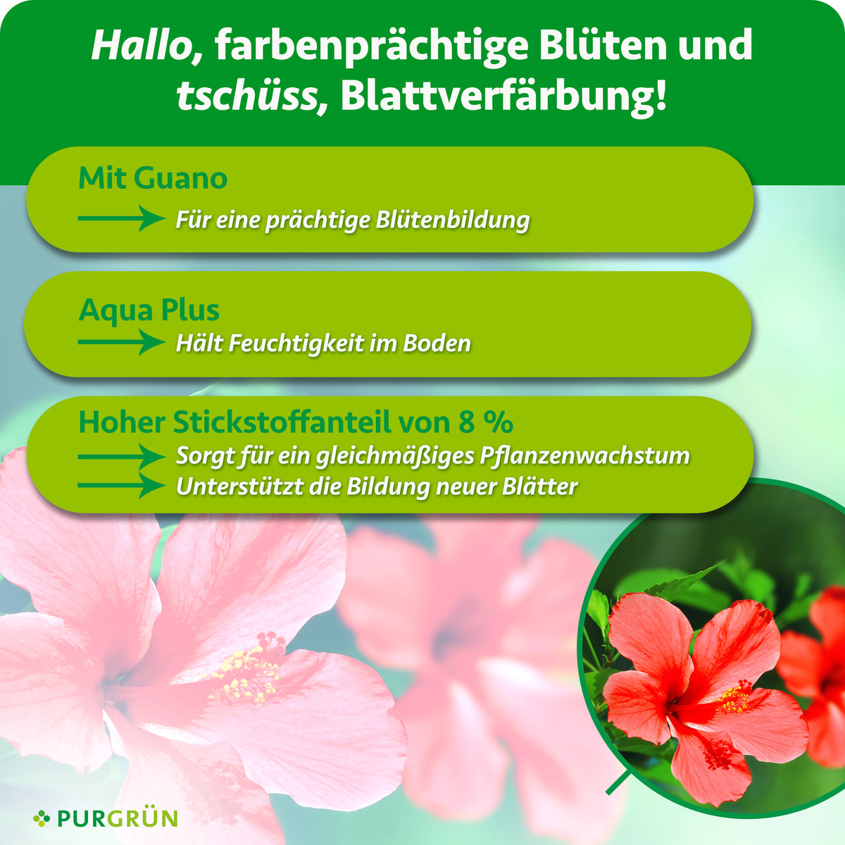 Mit Guano für eine prächtige Blütenbildung. Aqua Plus hält Feuchtigkeit im Boden. 8 % Stickstoff unterstützen gleichmäßiges Wachstum und die Bildung neuer Blätter.