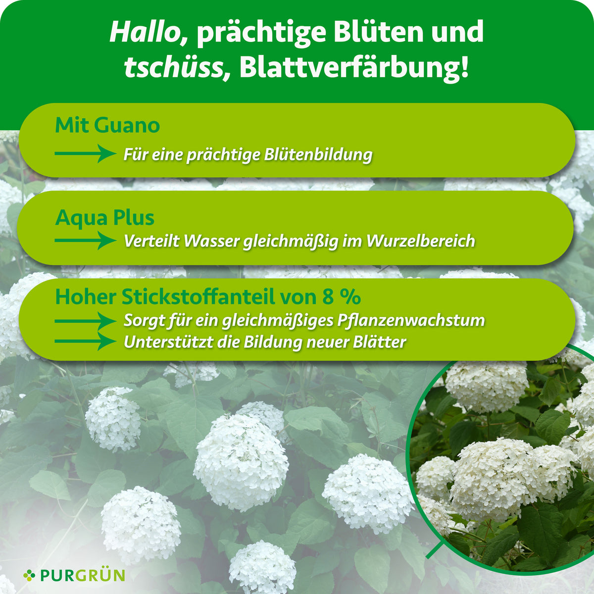 Mit Guano für eine prächtige Blütenbildung. Aqua Plus verteilt Wasser gleichmäßig im Wurzelbereich. 8 % Stickstoff unterstützen gleichmäßiges Wachstum und die Bildung neuer Blätter.