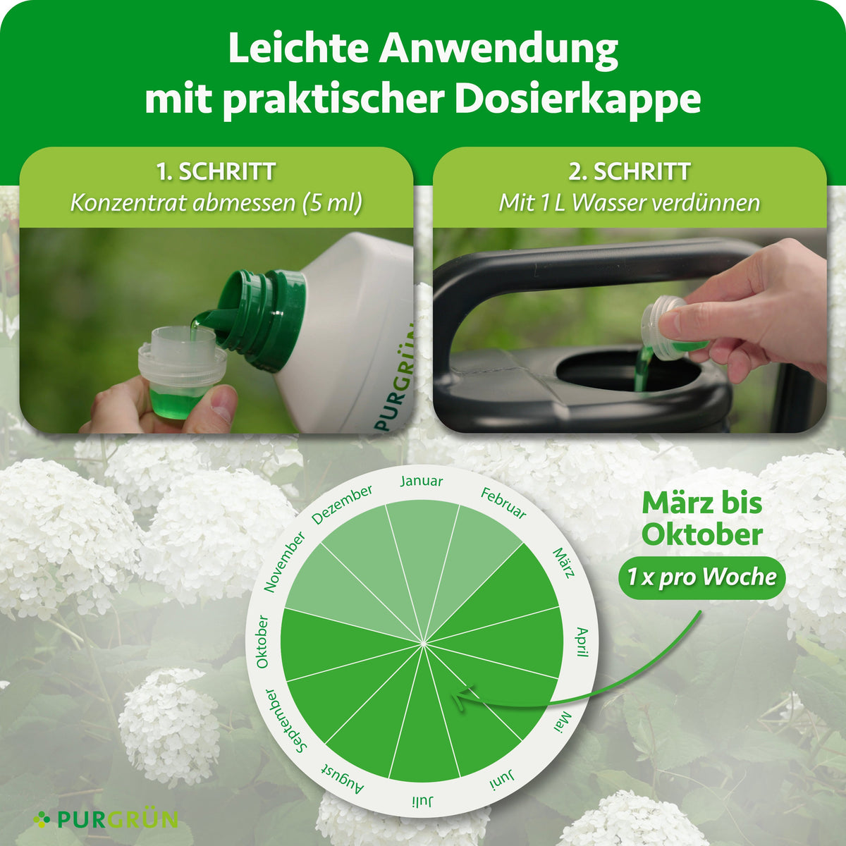 Anwendung: 5 ml Konzentrat abmessen, mit 1 L Wasser verdünnen und von März bis Oktober 1x pro Woche düngen.