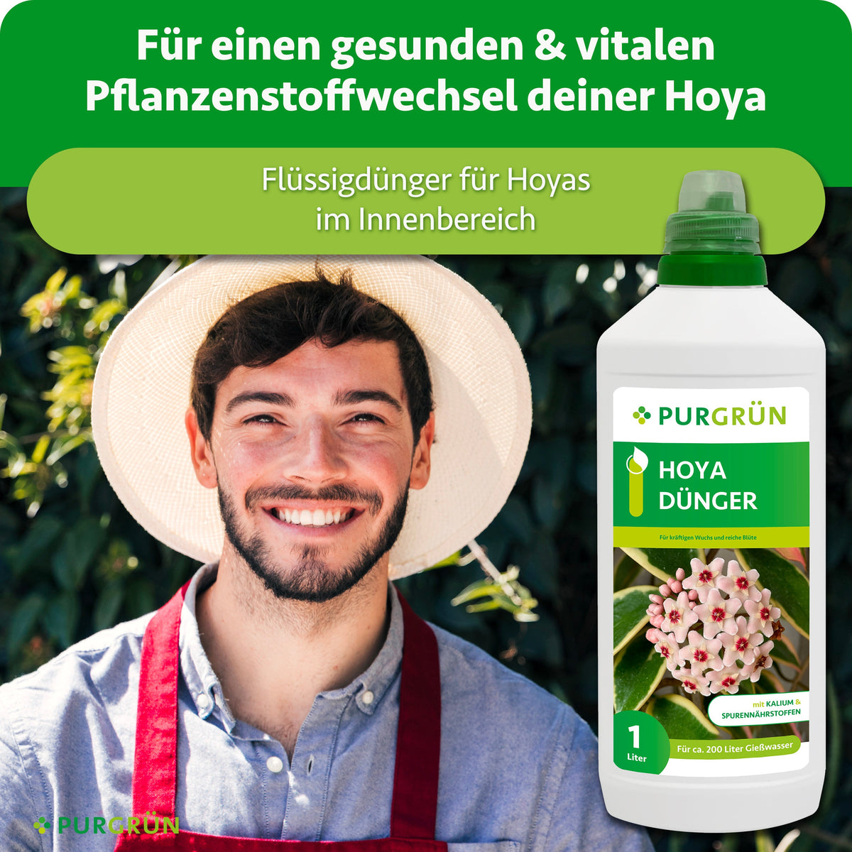 Hoya-Flüssigdünger für den Innenbereich, beworben für kräftigen Wuchs und reiche Blüte der Wachsblume.