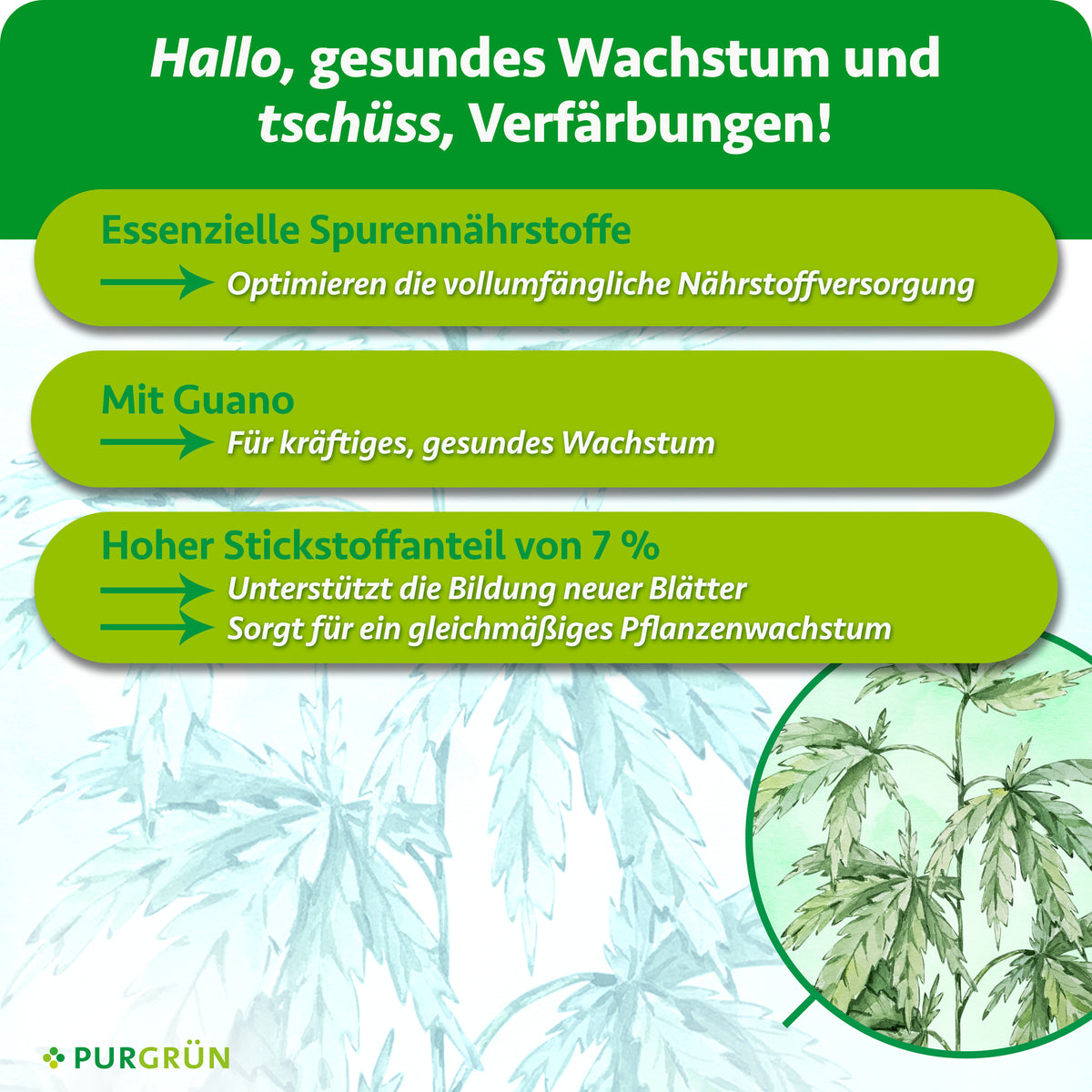 Essenzielle Spurennährstoffe optimieren die Nährstoffversorgung und 7 % Stickstoff unterstützen neue Blätter sowie gleichmäßiges Wachstum. Mit Guano für kräftiges, gesundes Wachstum.