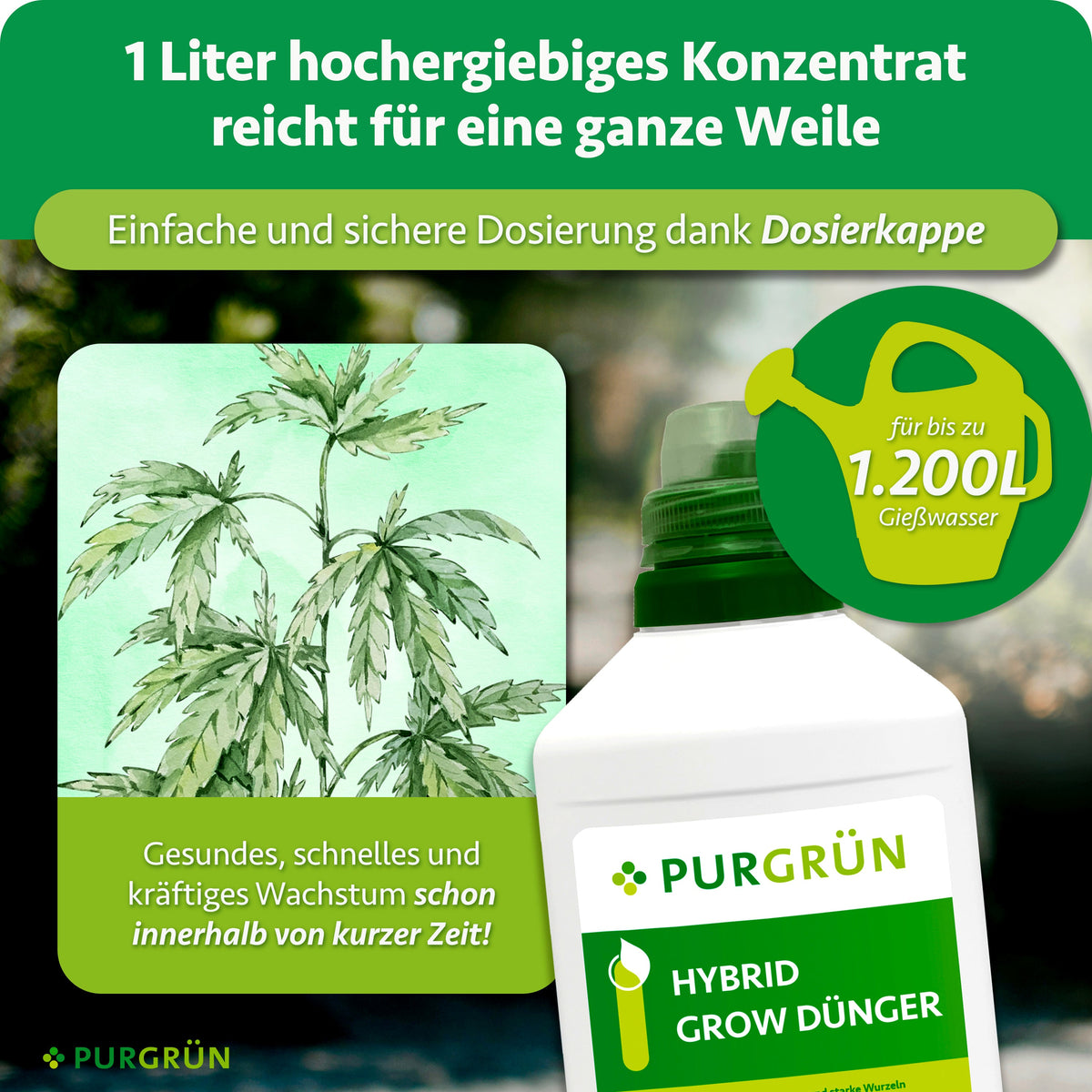 1 Liter Konzentrat reicht dank Dosierkappe für bis zu 1.200 Liter Gießwasser und soll gesundes, schnelles sowie kräftiges Wachstum fördern.