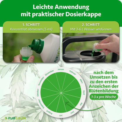Anwendung: 5 ml Konzentrat abmessen, mit 3–6 Litern Wasser verdünnen und nach dem Umsetzen bis zu den ersten Anzeichen der Blütenbildung 1–3-mal pro Woche geben.