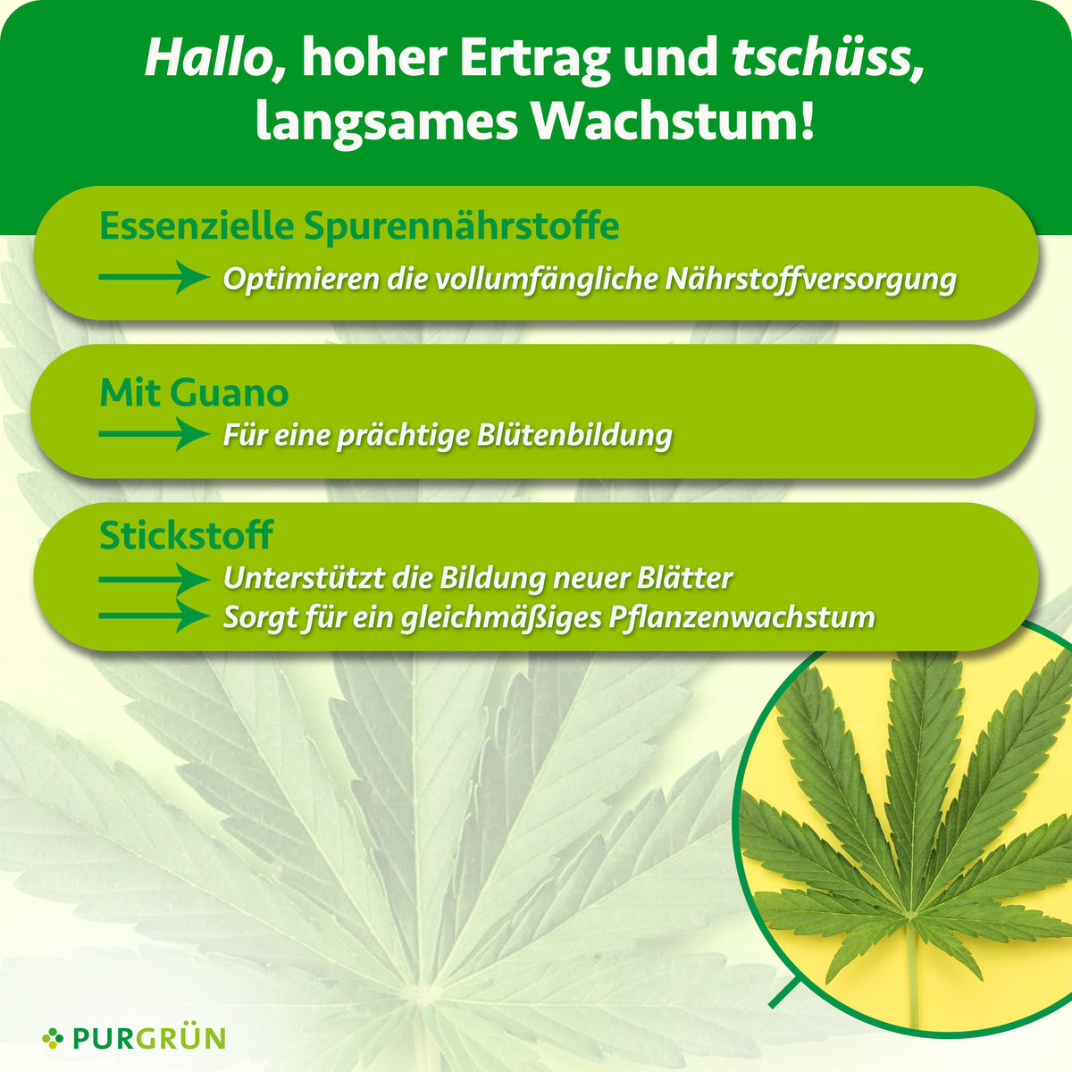 Spurennährstoffe optimieren die Nährstoffversorgung und Stickstoff unterstützt neue Blätter sowie gleichmäßiges Pflanzenwachstum. Mit Guano für eine prächtige Blütenbildung.