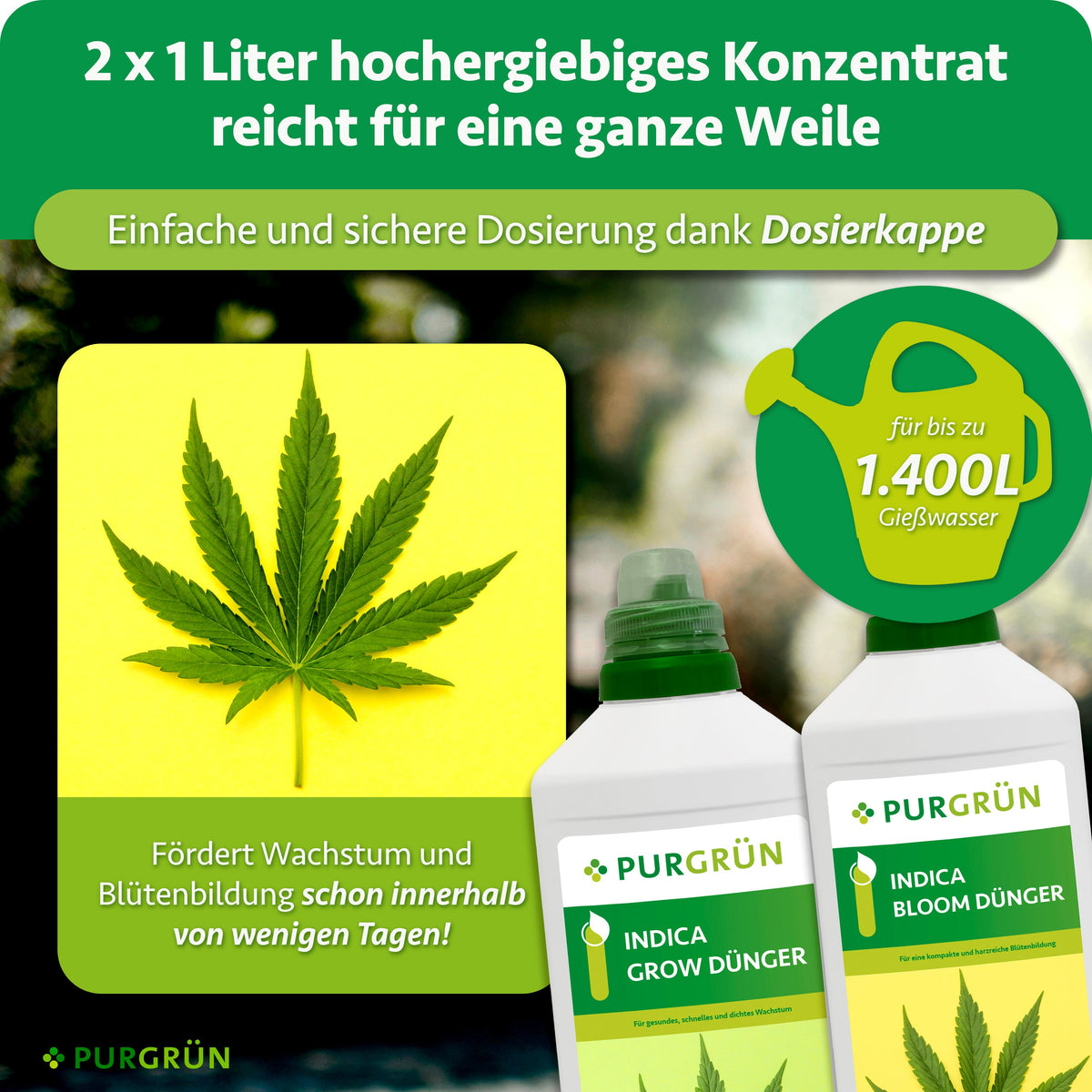 Das 2 × 1-Liter-Konzentrat besitzt Dosierkappen und reicht laut Infografik für bis zu 1.400 Liter Gießwasser.