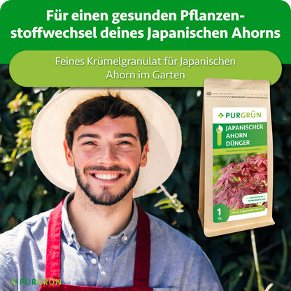 Feines Krümelgranulat für einen gesunden Pflanzenstoffwechsel des Japanischen Ahorns; daneben ein lächelnder Gärtner und der Düngerbeutel.