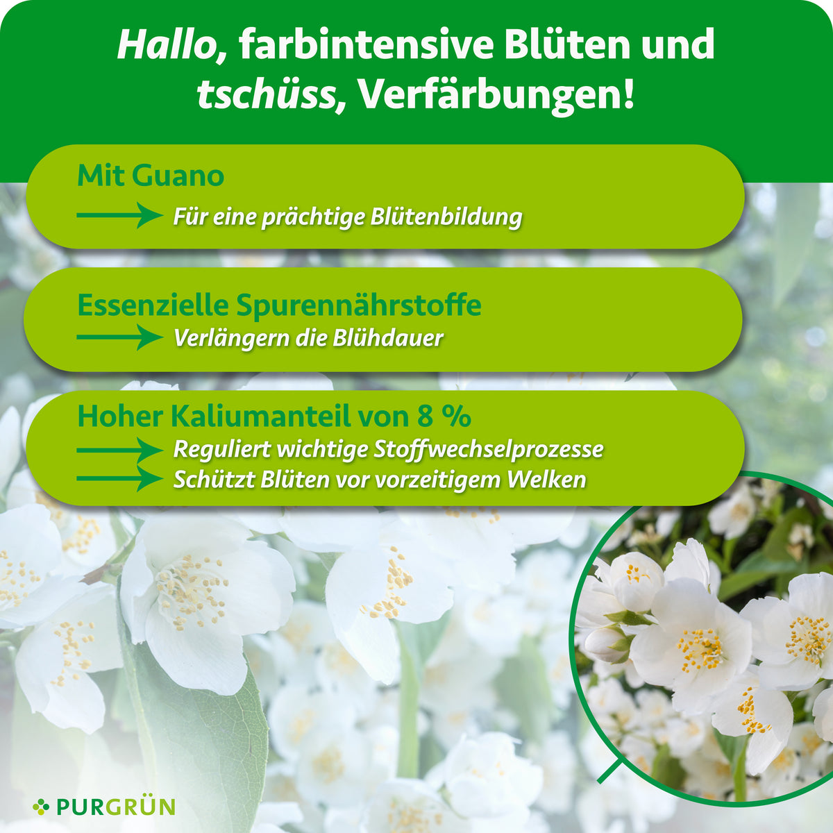 Mit Guano für eine prächtige Blütenbildung. Spurennährstoffe verlängern die Blühdauer und 8 % Kalium unterstützen Stoffwechselprozesse und schützen Blüten vor vorzeitigem Welken.