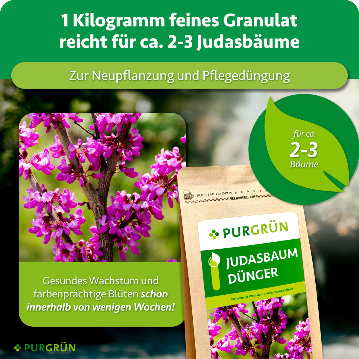1 Kilogramm feines Granulat reicht für ca. 2–3 Judasbäume und eignet sich zur Neupflanzung und Pflegedüngung.