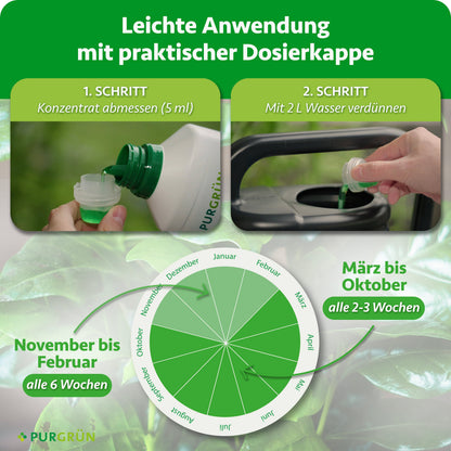 Anwendung: 5 ml Konzentrat abmessen und mit 2 L Wasser verdünnen. Von März bis Oktober alle 2–3 Wochen, von November bis Februar alle 6 Wochen düngen.
