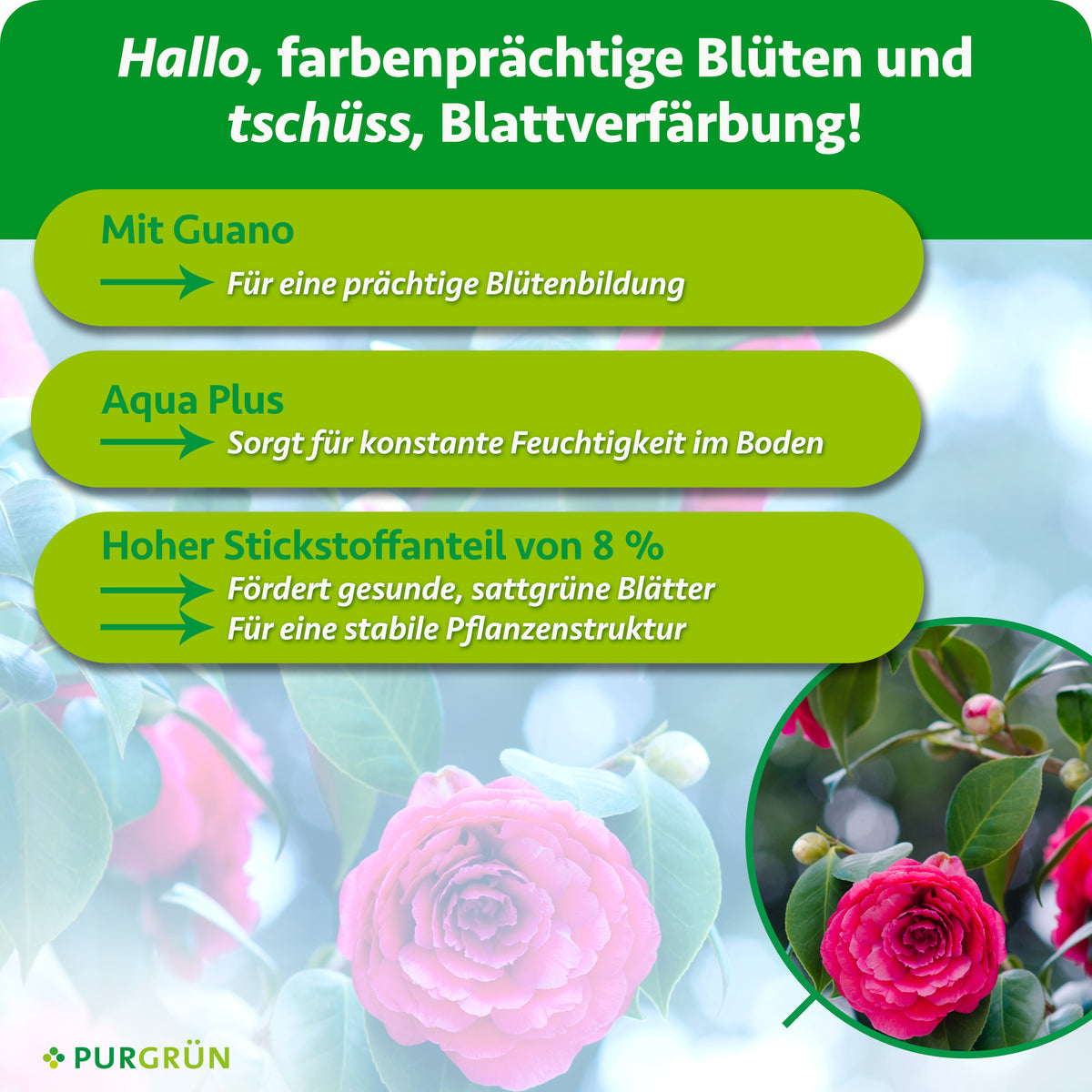 Mit Guano für eine prächtige Blütenbildung. Aqua Plus hält den Boden konstant feucht; 8 % Stickstoff fördern sattgrüne Blätter und eine stabile Pflanzenstruktur.