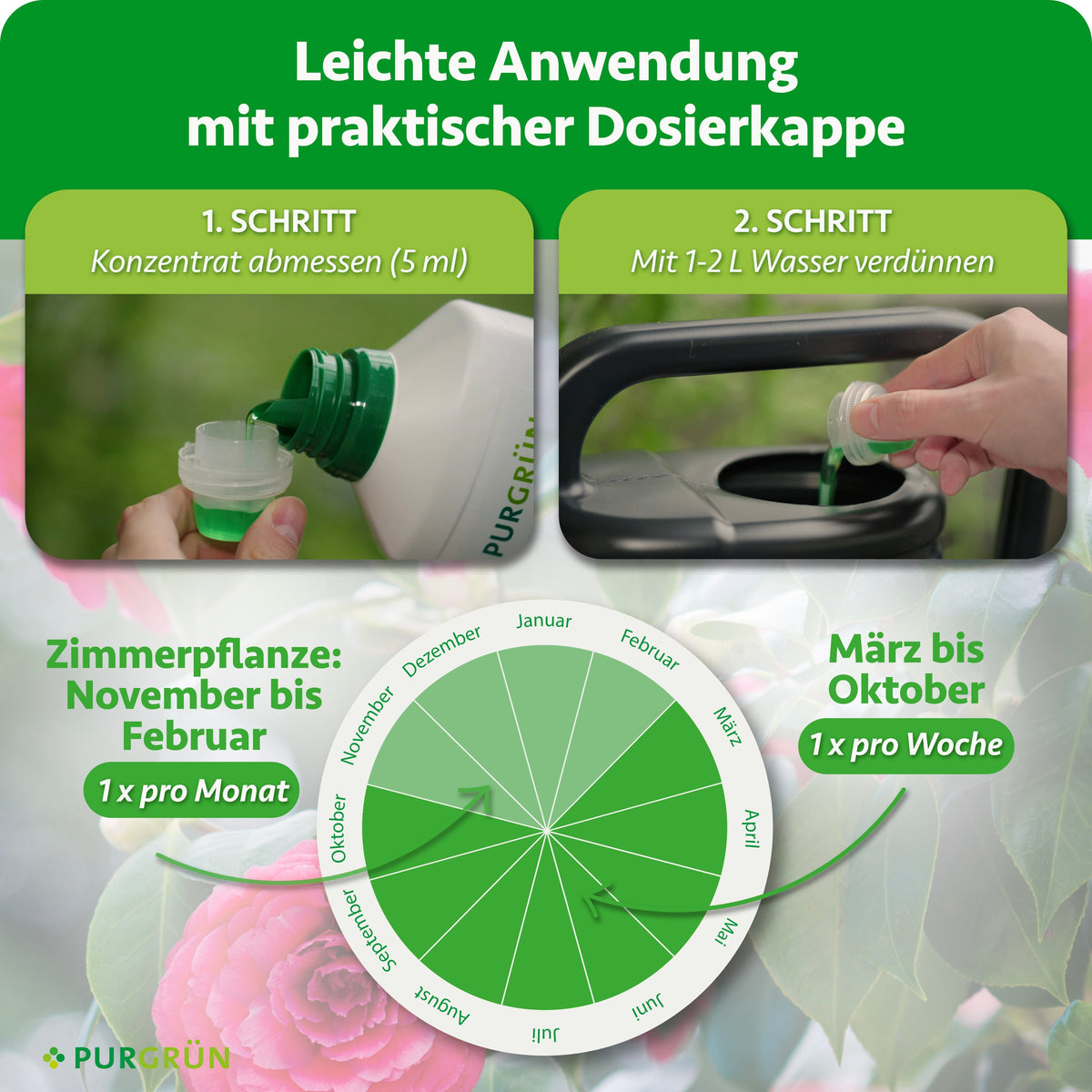 Anwendung: 5 ml Konzentrat abmessen und mit 1–2 Litern Wasser verdünnen. Zimmerpflanzen von November bis Februar einmal monatlich, von März bis Oktober einmal wöchentlich düngen.