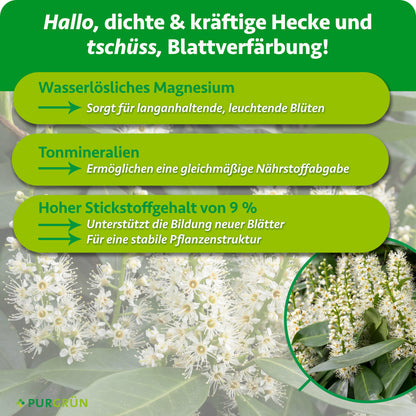 Wasserlösliches Magnesium sorgt für langanhaltende, leuchtende Blüten, Tonmineralien ermöglichen eine gleichmäßige Nährstoffabgabe. 9 % Stickstoff unterstützen die Bildung neuer Blätter und eine stabile Pflanzenstruktur.