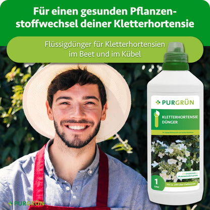 Flüssigdünger für Kletterhortensien im Beet und Kübel, dargestellt neben einem Gärtner, für einen gesunden Pflanzenstoffwechsel.